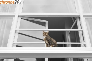 Aleksandrów Łódzki Siatka na balkon z małym oczkiem - na zabezpieczenie balkonu Sklep Aleksandrów Łódzki
